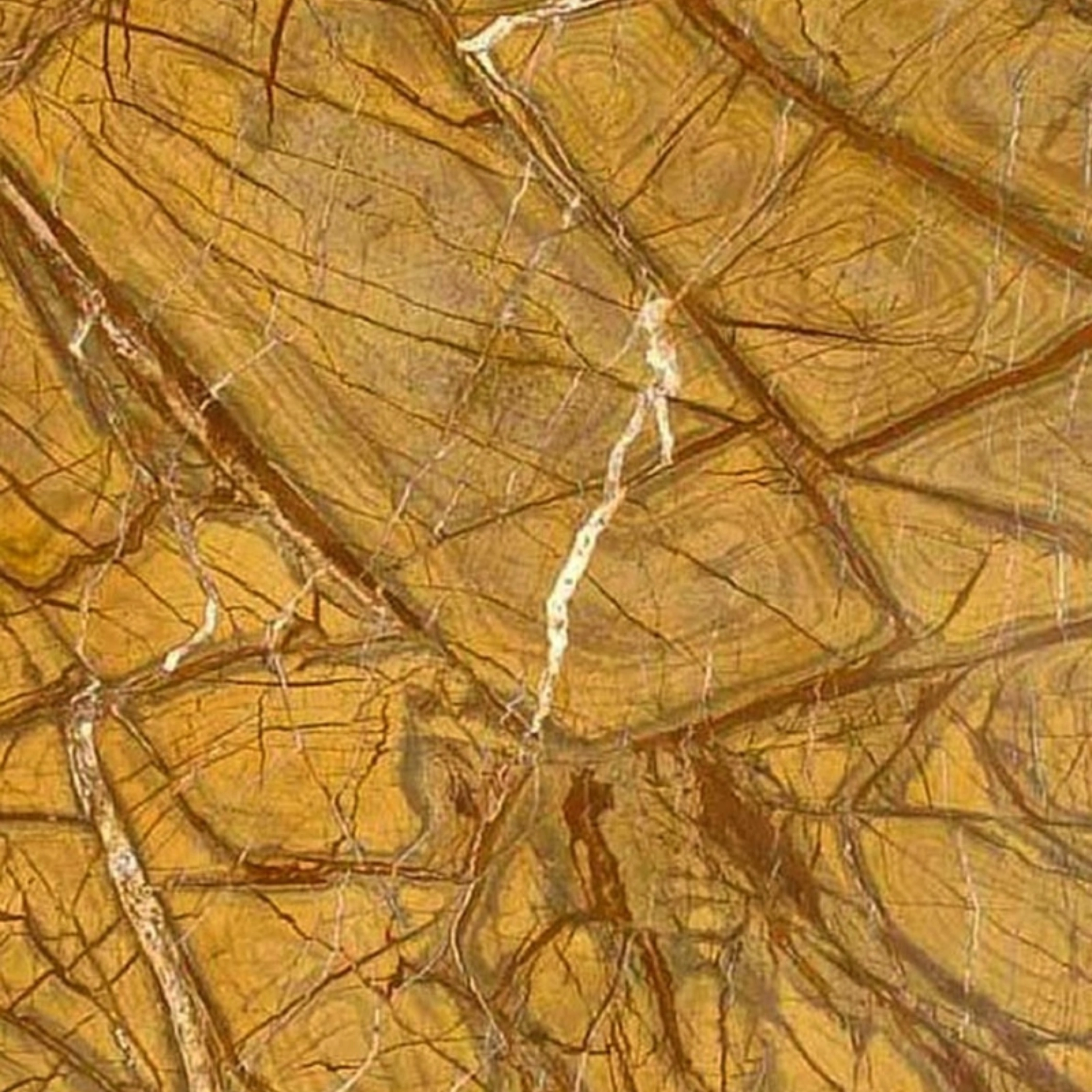 Rainforest Gold Marble