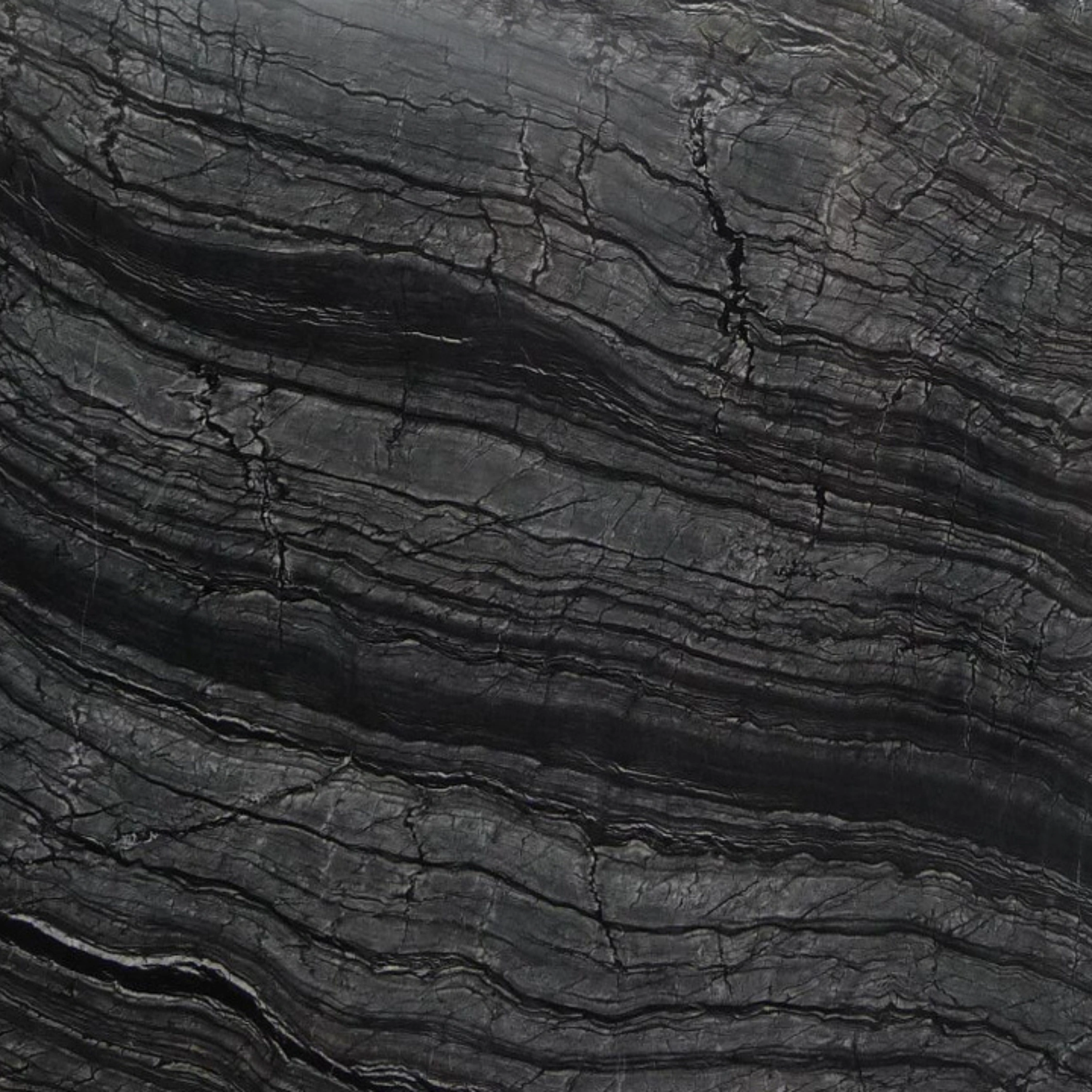 Zebra Black Marble