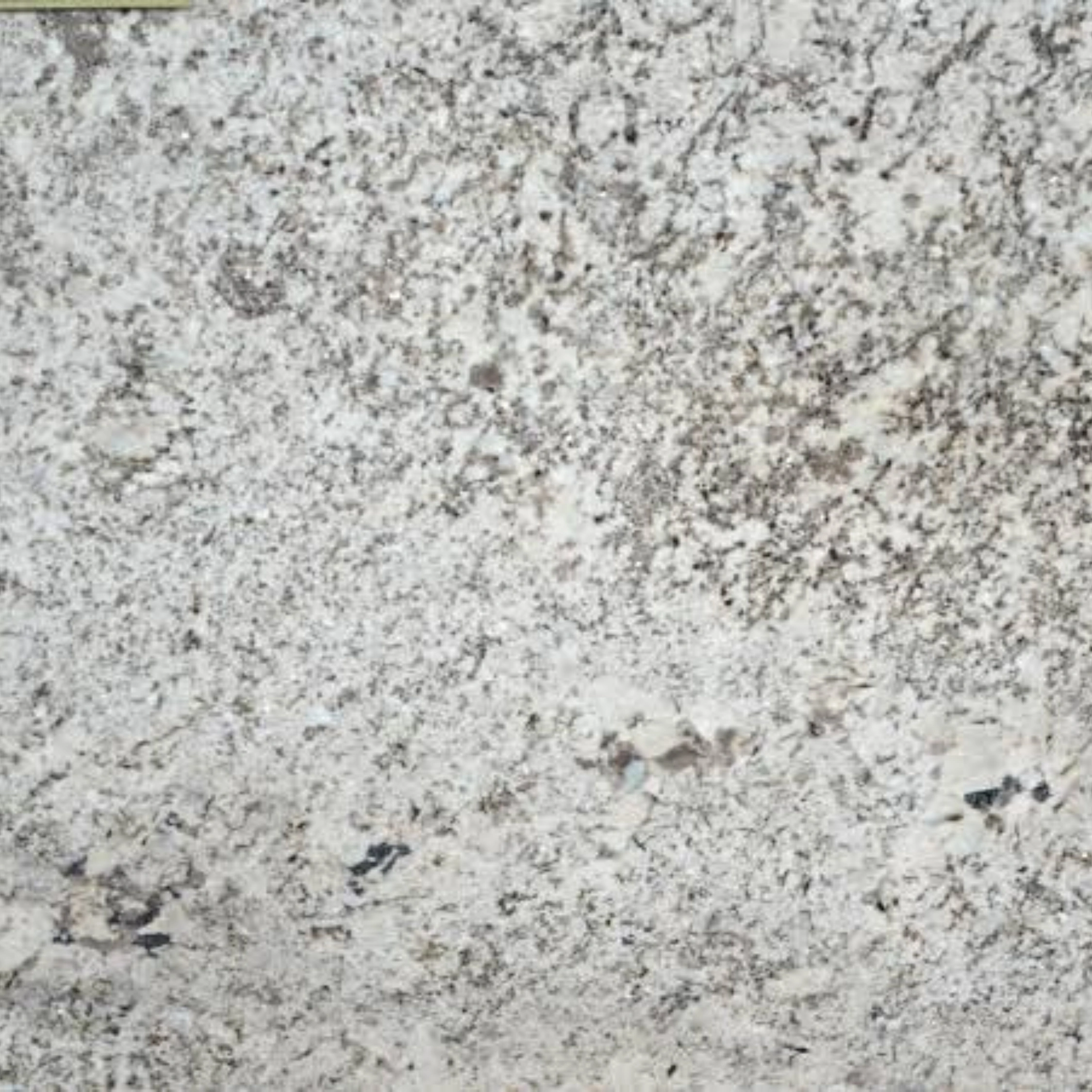 Bianco Antico Granite
