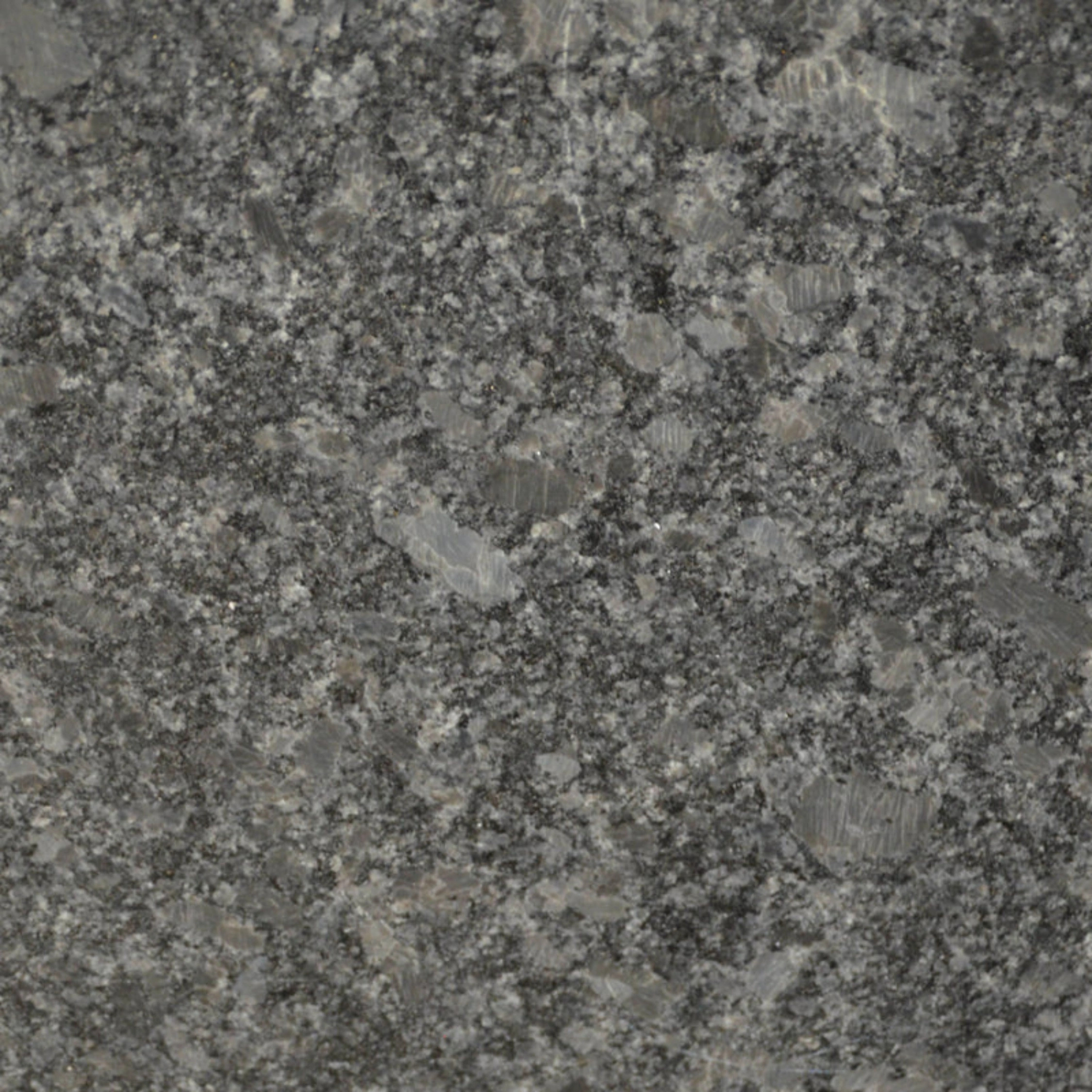 Steel Grey Granite - South Indian Granite